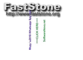 Spy for Whatsapp Come Funziona